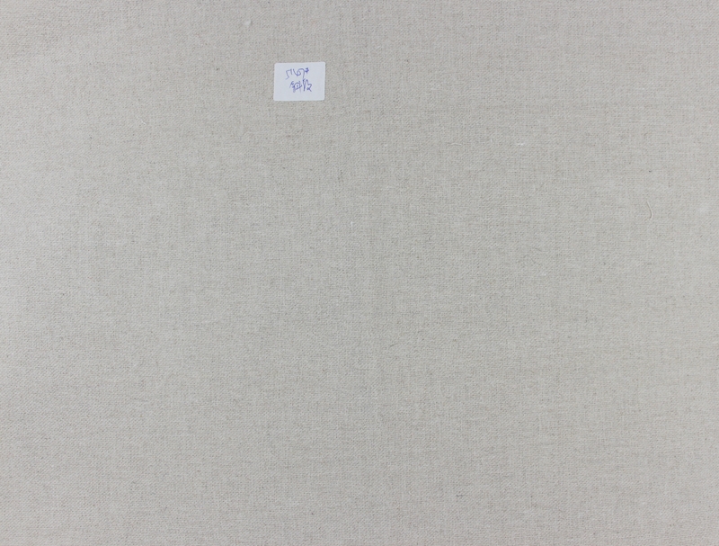 5147#斜纹布C.jpg